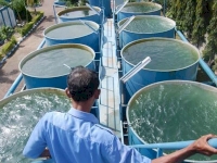 Design of a Capital Investment Strategy and Financing Plan for PDAM Pontianak